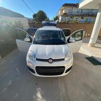panda