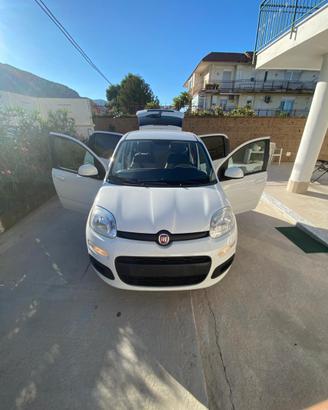 panda