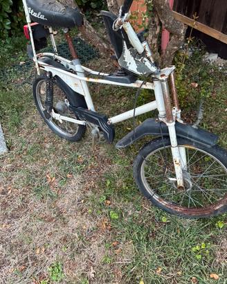 Saltafoss bici cross