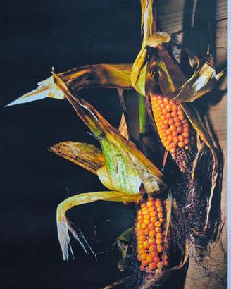 Stampa su tela quadro cucina 