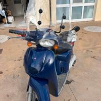 Scarabeo 50