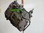 Immagine 6