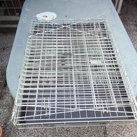 trasportino per cane 