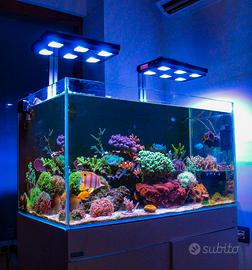 Acquario aqpet 250 lt extrachiaro