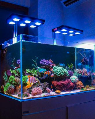 Acquario aqpet 250 lt extrachiaro