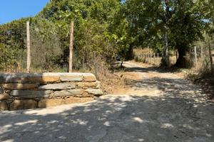 Uliveto Santa Maria di Castellabate