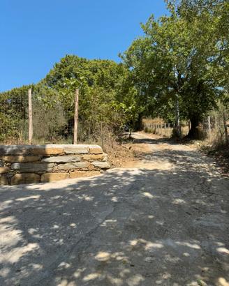 Uliveto Santa Maria di Castellabate