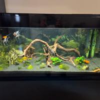 Acquario Askoll Pure Led XL 94L + Filtro JBL 