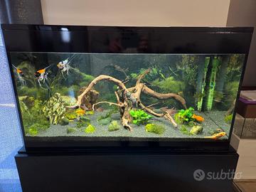 Acquario Askoll Pure Led XL 94L + Filtro JBL 