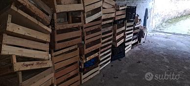 mattoni rossi e forati, cassette di legno 