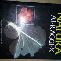 Natura ai raggi X - 1986