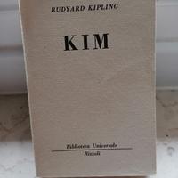 Rudyard kipling kim