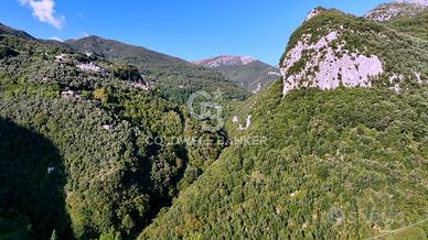 Terreno - Camaiore