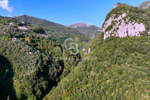 Terreno - Camaiore