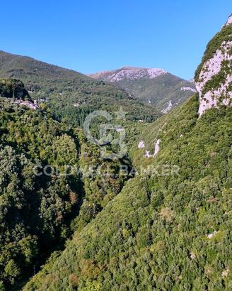 Terreno - Camaiore