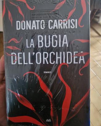 due romanzi