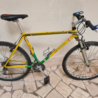Bici Carraro Senna