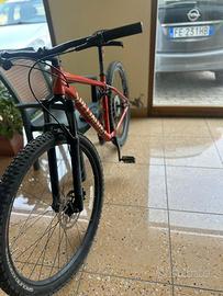 Bicicletta specialized