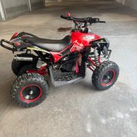 Mini quad