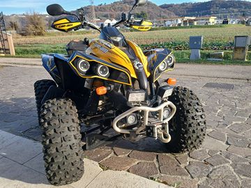 Quad can am renegade 800