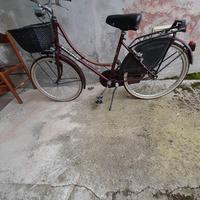 bici da donna ruota 26
