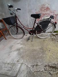 bici da donna ruota 26