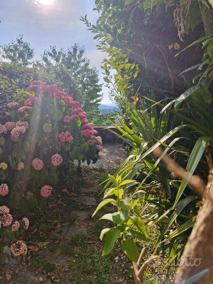 Appartamento – FI - Vista 2