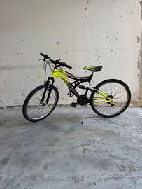 Bicicletta da ragazzo