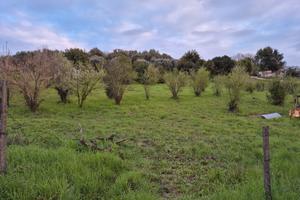 Lotto terreno