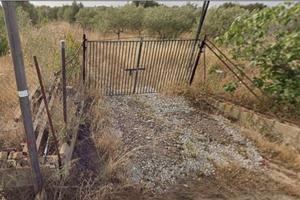 Terreno agricolo un ettaro
