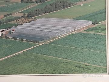 terreni con casa e serre