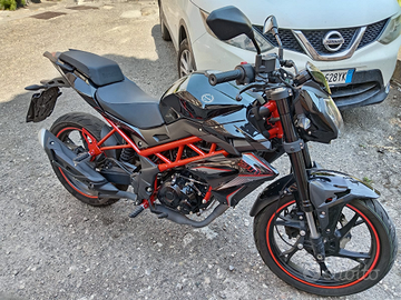 Benelli BN 2023