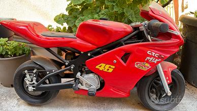 minimoto polini