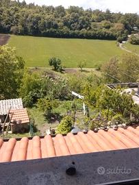 Sto mettendo in affitlto casa mia