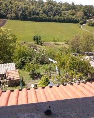 Sto mettendo in affitlto casa mia