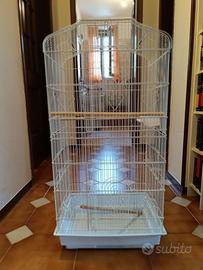 gabbia per uccelli 