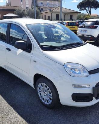 FIAT Pandina PANDA MY26 1.0 65CV HYBRID ICON
