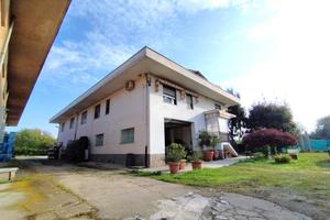 CAPANNONE A ALPIGNANO