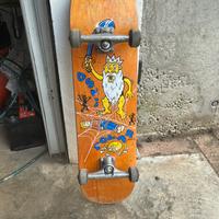 skateboard polar