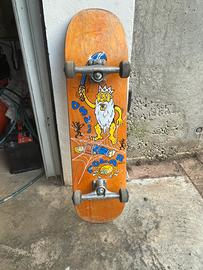 skateboard polar