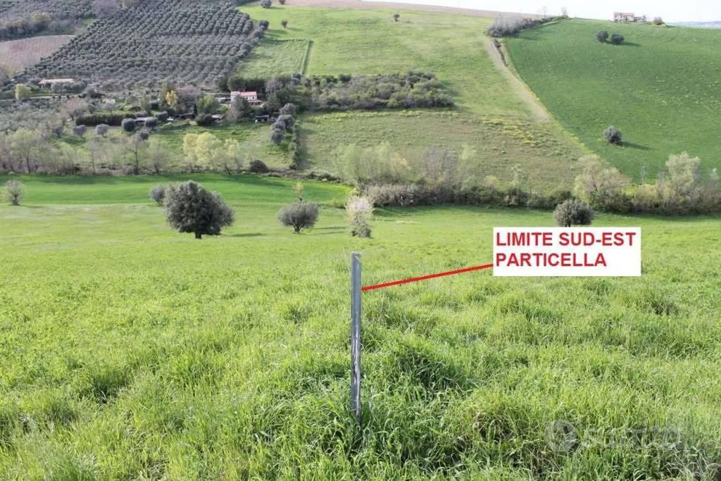 Immobile in asta di 20670 m² a Lapedona - Vista 4