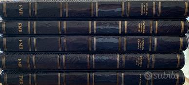 Fmr i vangeli e l' apocalisse