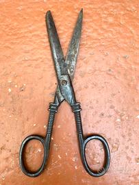 Forbice Antica Particolare