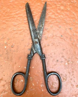 Forbice Antica Particolare