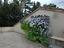 Immagine 14
