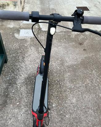 Monopattino elettrico 250 watt Nineboot Segway