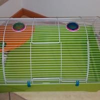 gabbia 