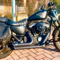 Harley davidson 883