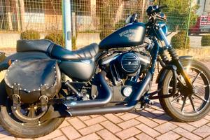 Harley davidson 883