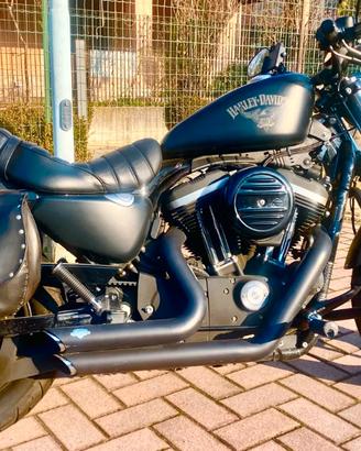 Harley davidson 883